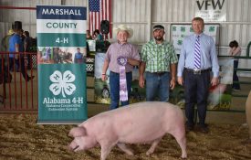 A Marshall County 4-H member posing for a picture with his Grand Champion pig in the Pig Squeal program.