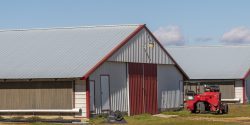 poultry house with cooling cells