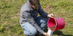 A man squatting down and putting soil from a red bucket into a soil testing box.