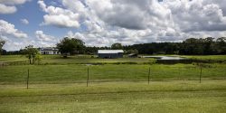 An Alabama Farm Scape