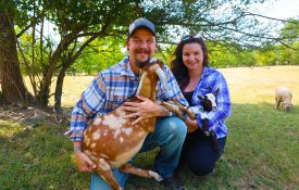 A man and woman each holding a goat in their arms.