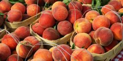 Peaches at a Farmer's Market