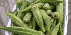 Okra at a Farmer's Market