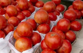 Red tomatoes at a farmer's market.