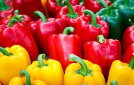 Yellow, red, and green bell peppers