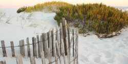 Sand dunes on a Gulf Shores beach.