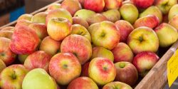 Honecrisp apples at a local outdoor market