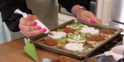 Close-up of a woman's hands decorating sugar cookies with green, white and brown icing. Cookies are cut in shapes of pinecones, leaves and cotton bolls. Cottage Food Businesses Achieve Sweet Success